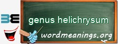 WordMeaning blackboard for genus helichrysum